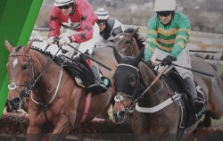 Horse racing betting at Unibet